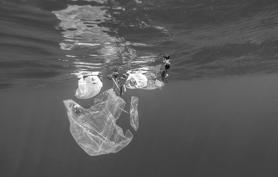 Marine water with plastic