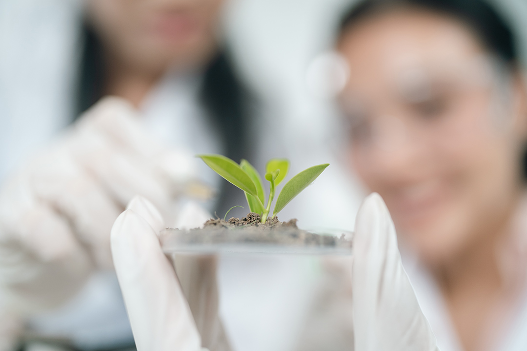 Accélérer l’innovation compostable lors de la réunion annuelle du CbDP